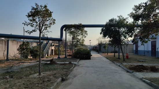 1767057531620559.jpg 图片-2-1.jpg